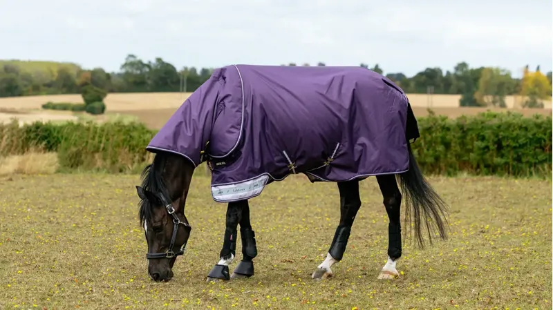 LeMieux Arika Ripstop 200g Medium Weight Turnout Rug Juniper-7