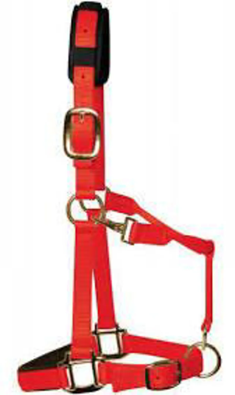 KM Elite Padded Headcollar Red