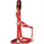 KM Elite Padded Headcollar Red
