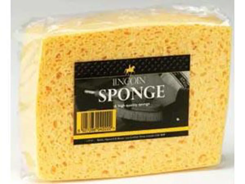 Lincoln Sponge 