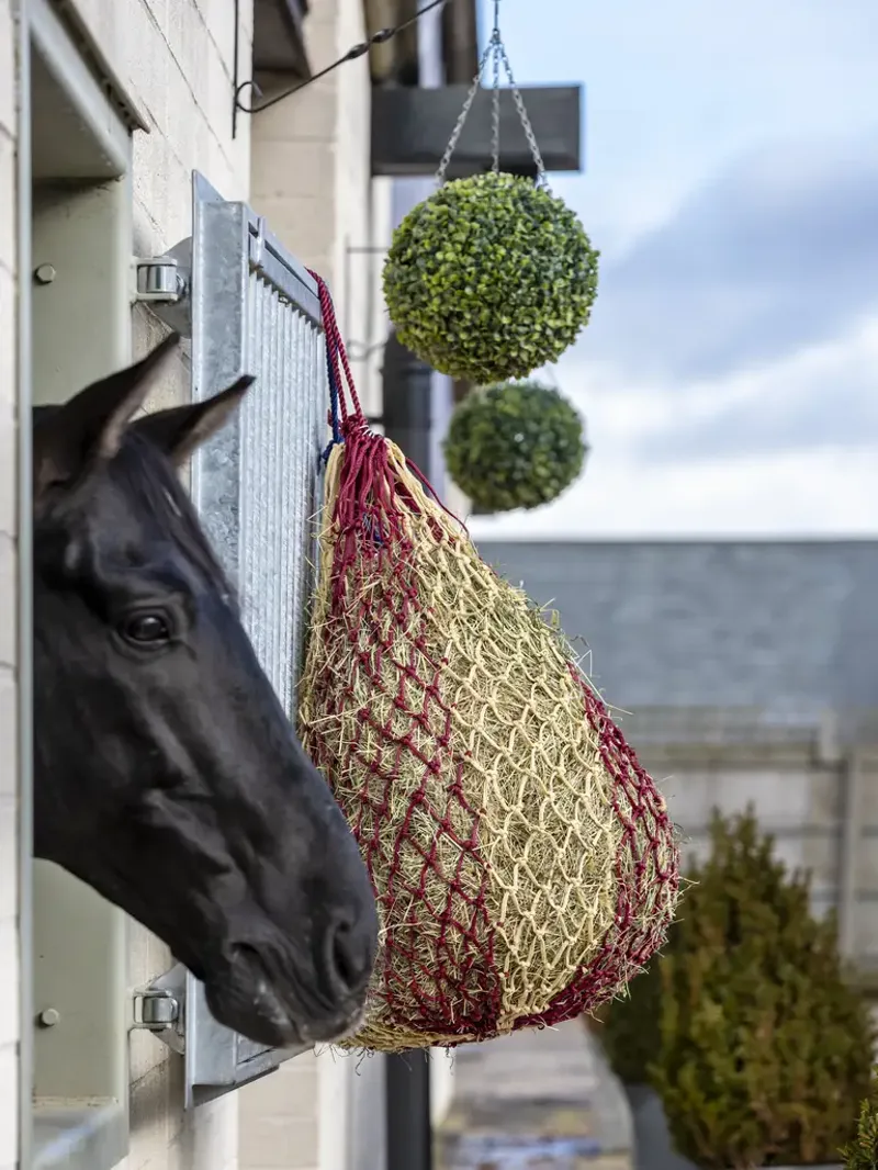 LeMieux Hippo Haynet Burgundy-1