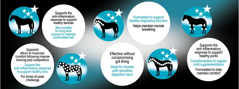 NAF Five Star Metazone Powder 1.2Kg-2