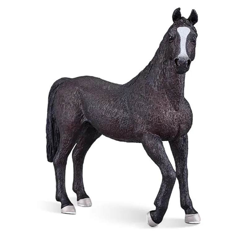 Mojo Arabian Stallion Black-4