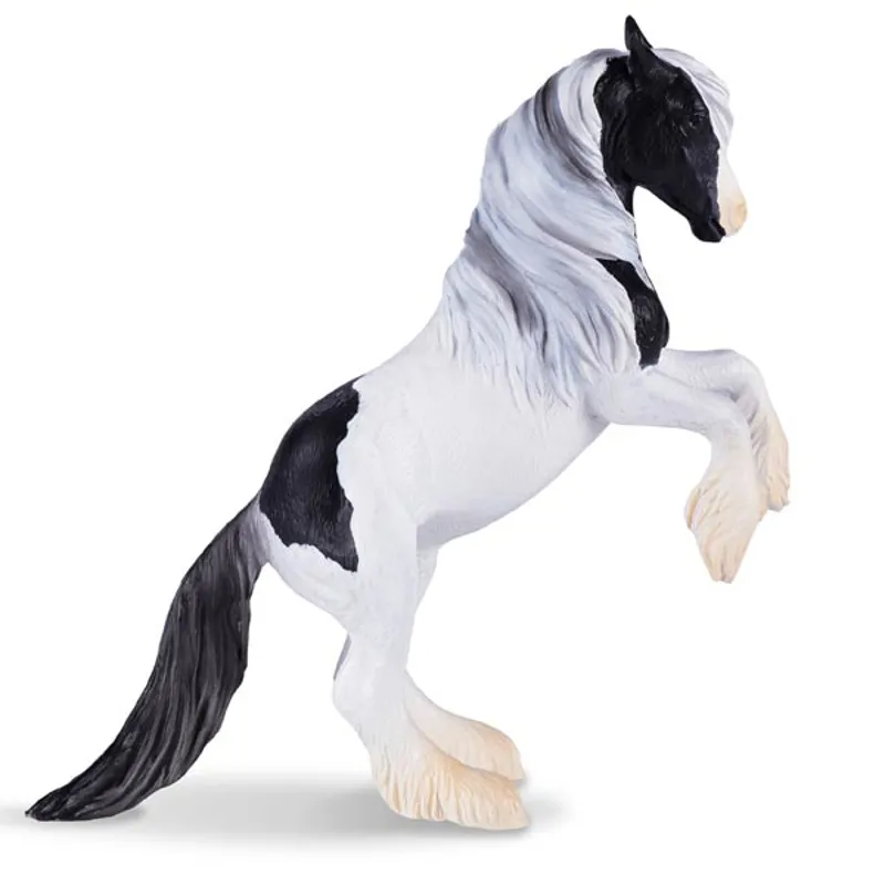 Mojo Irish Cob Stallion