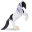 Mojo Irish Cob Stallion