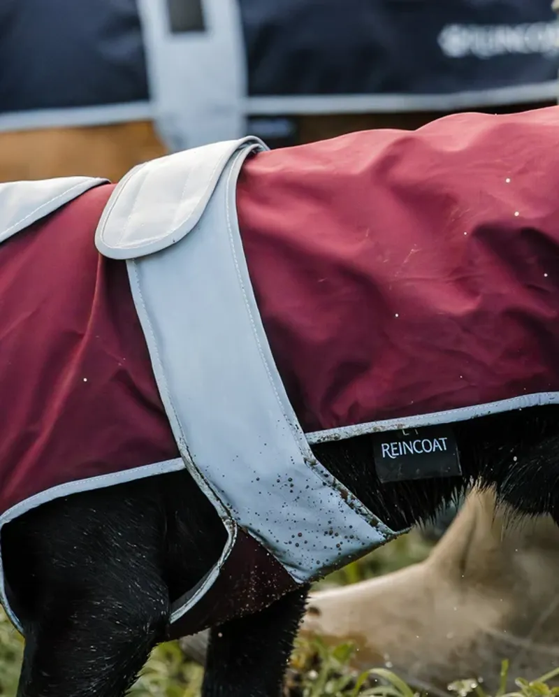 Reinwear Reincoat Dog Coat Burgundy-4