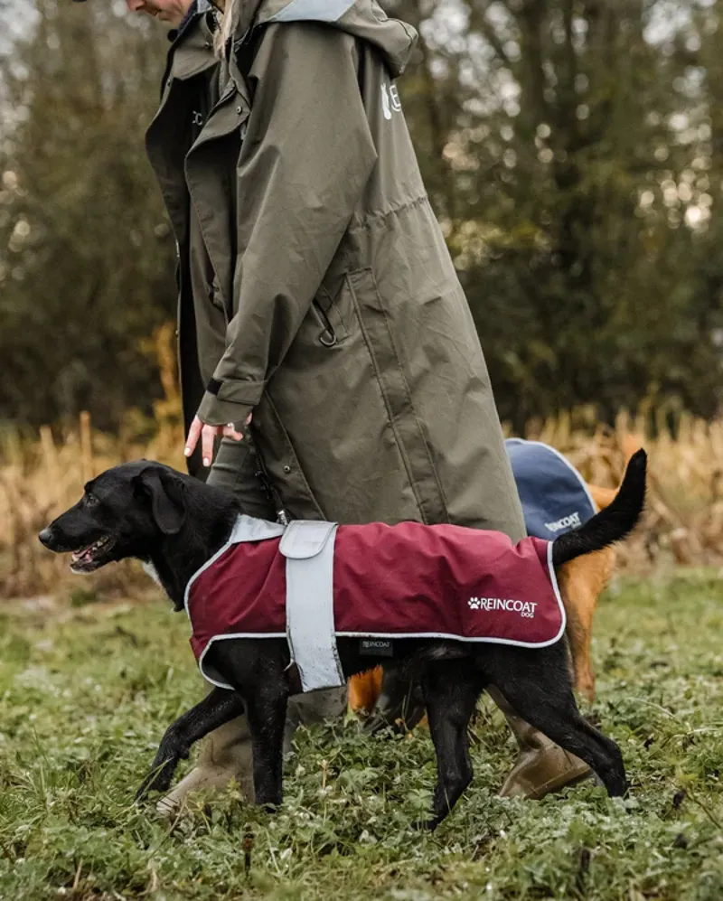 Reinwear Reincoat Dog Coat Burgundy-1