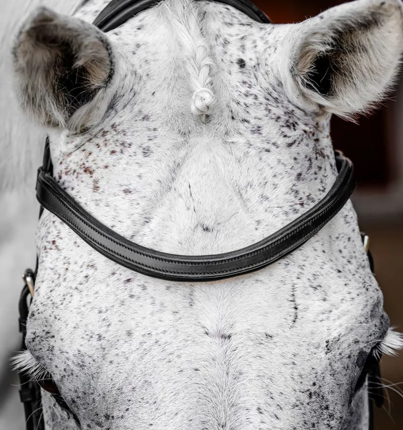 Horseware Micklem Competition Bridle Black-2