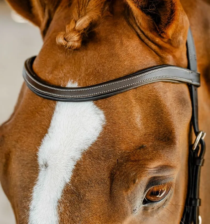 Horseware Micklem Competition Bridle Dark Havana-3