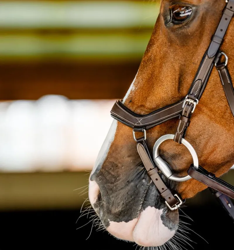 Horseware Micklem Competition Bridle Dark Havana-5