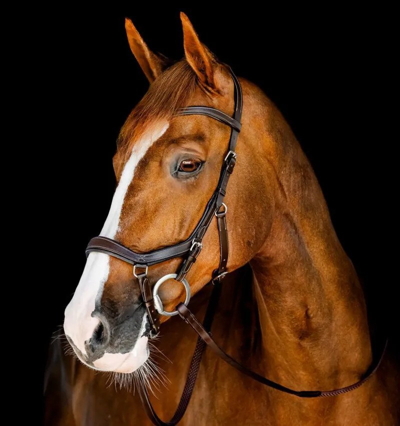 Horseware Micklem Competition Bridle Dark Havana