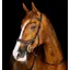 Horseware Micklem Competition Bridle Dark Havana