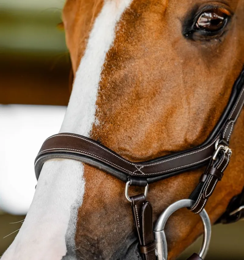 Horseware Micklem Competition Bridle Dark Havana-4