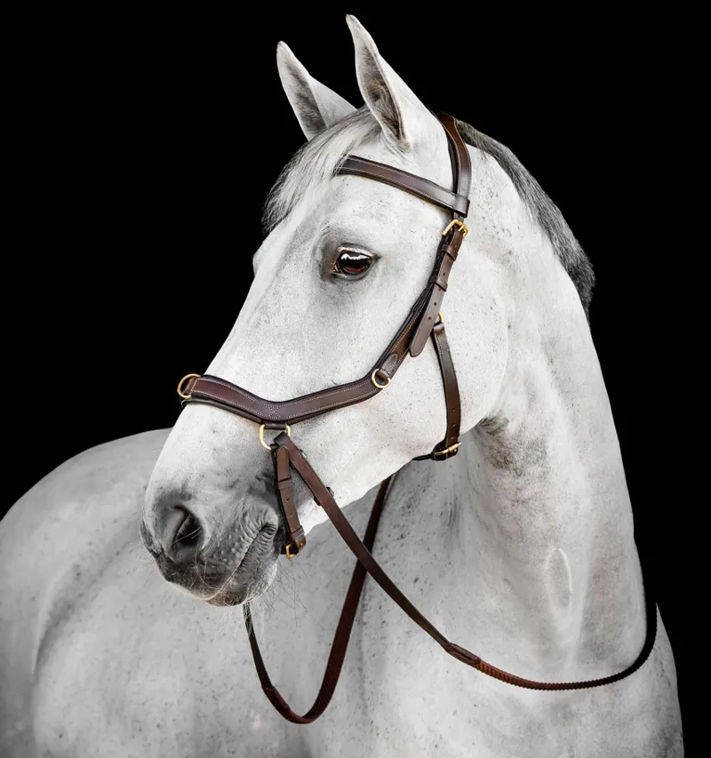 Rambo Micklem Multi Bridle Dark Havana-1