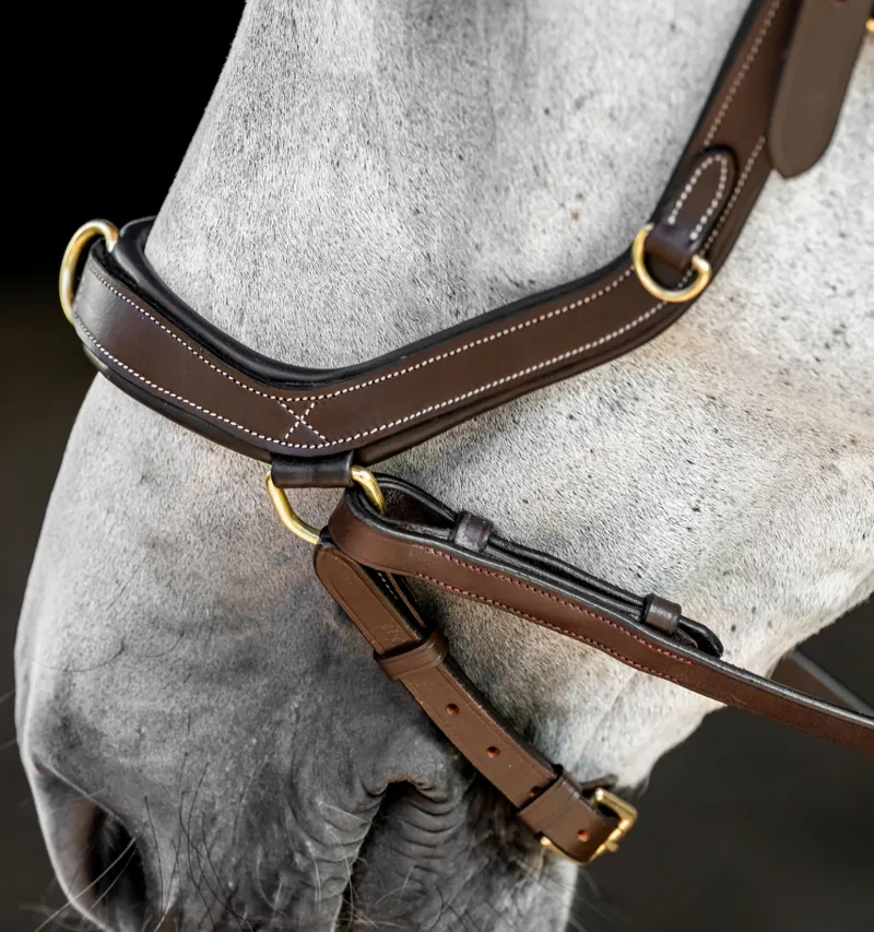 Rambo Micklem Multi Bridle Dark Havana