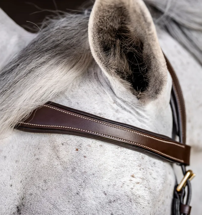 Rambo Micklem Multi Bridle Dark Havana-3