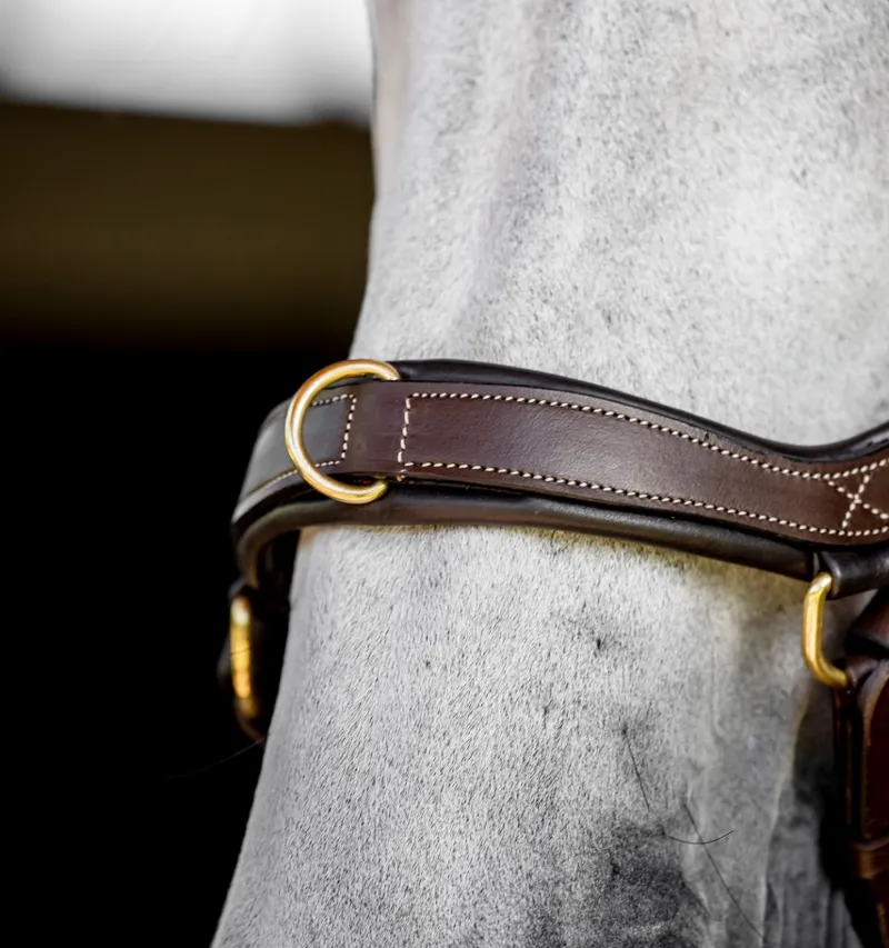 Rambo Micklem Multi Bridle Dark Havana-4