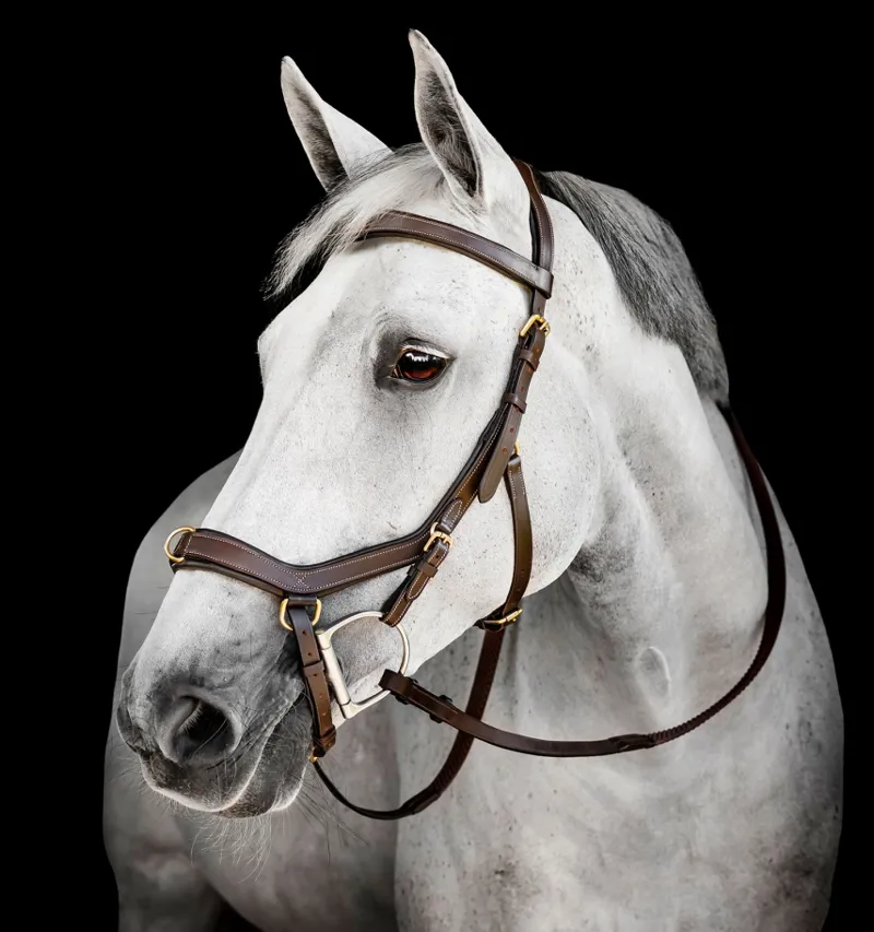 Rambo Micklem Multi Bridle Dark Havana-5