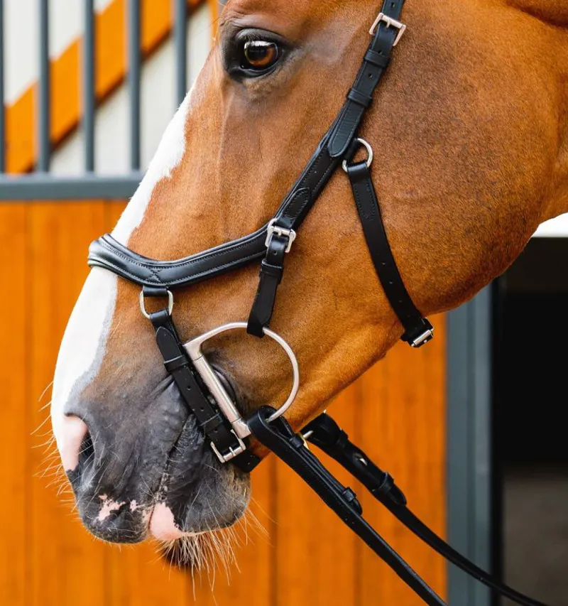 Rambo Micklem 2 Deluxe Competition Bridle WITHOUT Reins Black-2