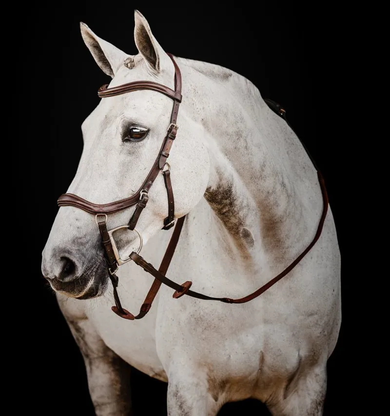 Rambo Micklem 2 Deluxe Competition Bridle WITHOUT Reins Dark Havana