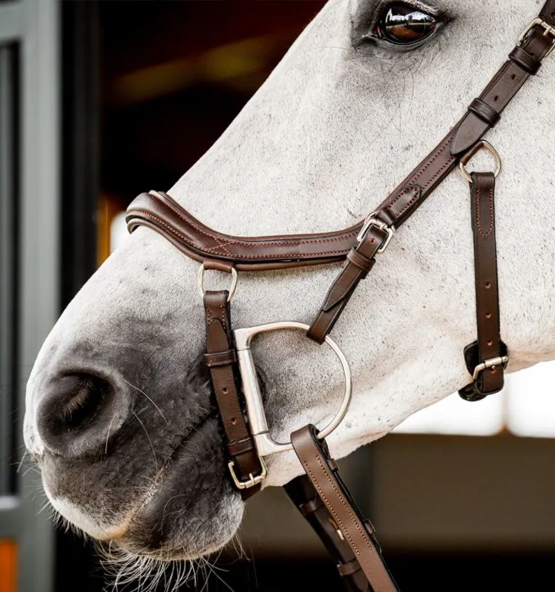 Rambo Micklem 2 Deluxe Competition Bridle WITHOUT Reins Dark Havana-4