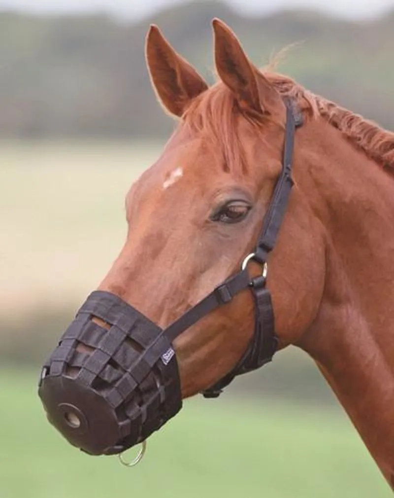 Shires FreeGraze Comfort Grazing Muzzle Black