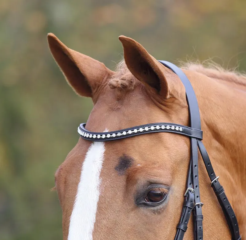 Shires Aviemore Large Diamante Browbande Browband Black-1