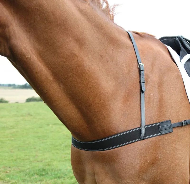 Shires Blenheim Breast Girth Black
