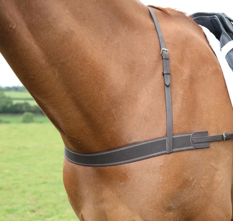 Shires Blenheim Breast Girth Brown