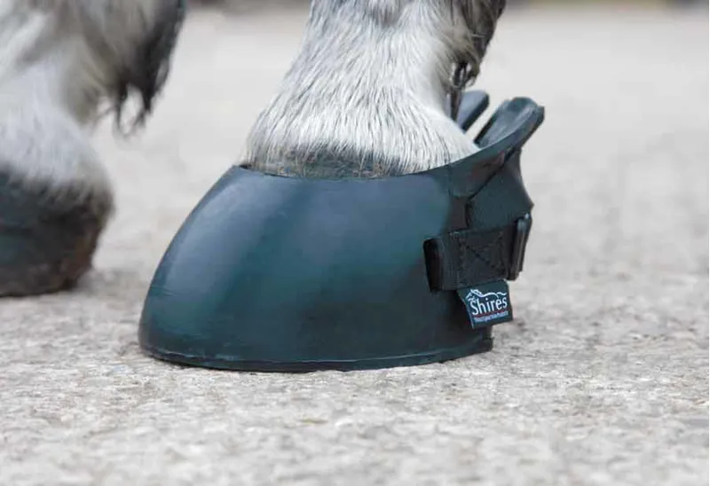 Shires Temporary Shoe Boot Black
