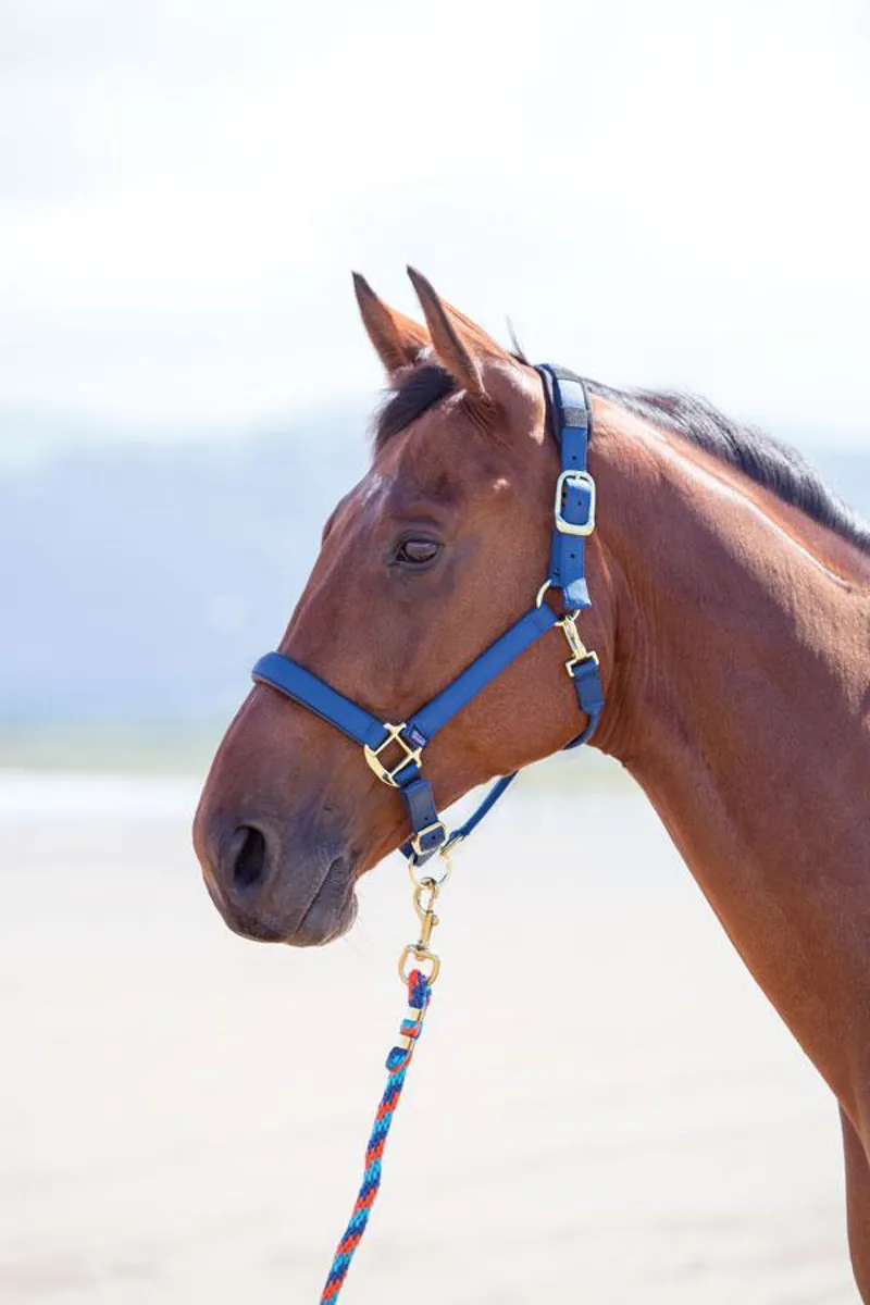 Shires Topaz Nylon Headcollar  Navy