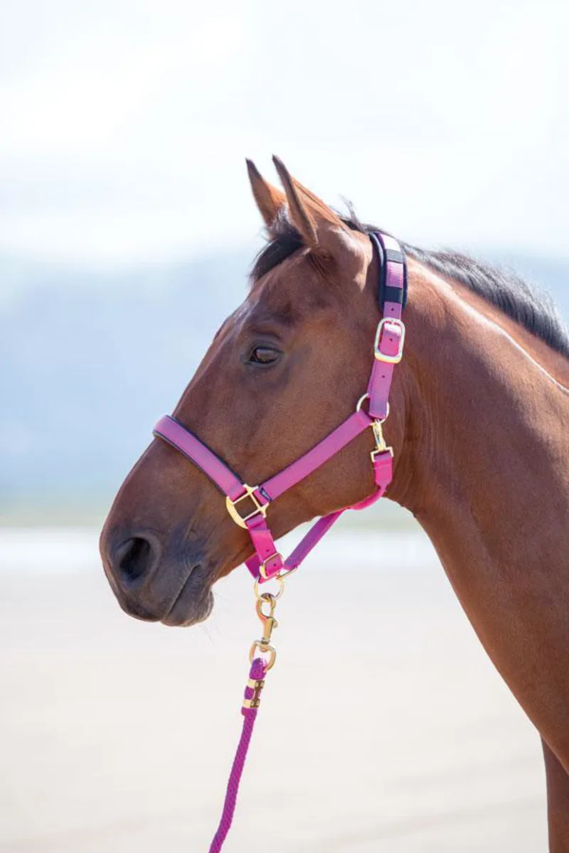 Shires Topaz Nylon Headcollar  Raspberry