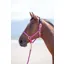 Shires Topaz Nylon Headcollar  Raspberry
