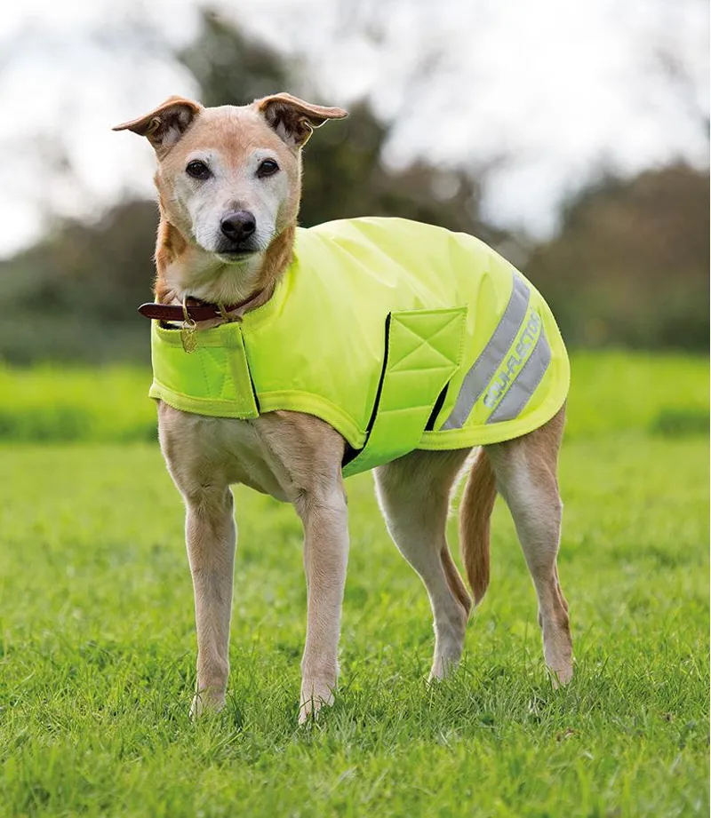 Shires Equi-Flector Hi Viz Dog Coat Yellow