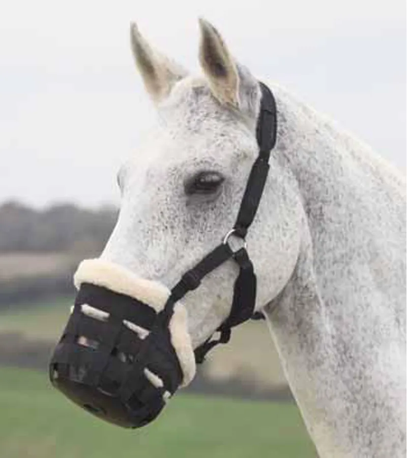 Shires FreeGraze Deluxe Comfort Grazing Muzzle Black 