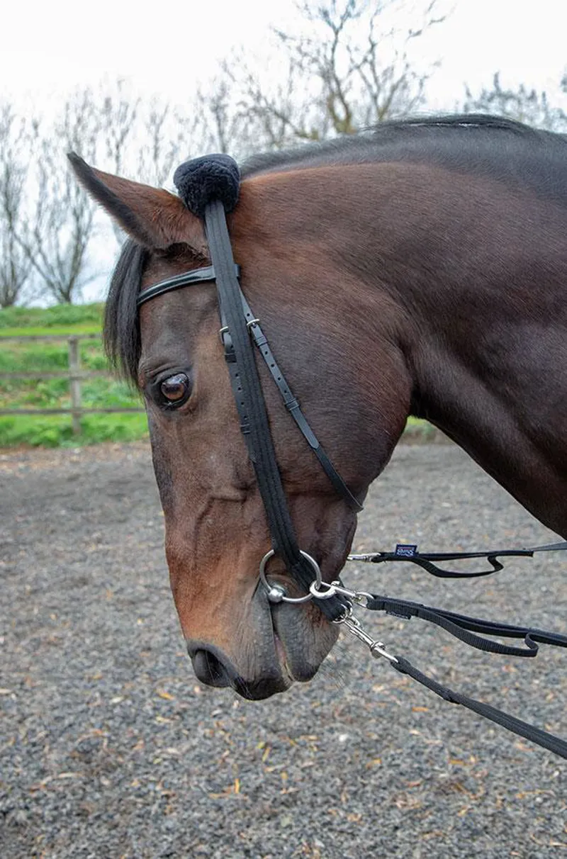 Shires Lunging Adaptor Black