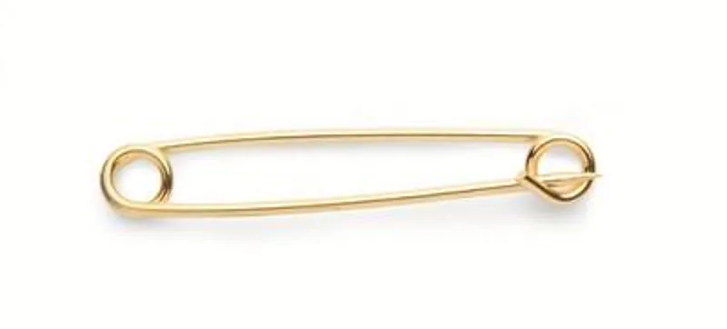 Shires Stock Pin Plain Gold Plated 
