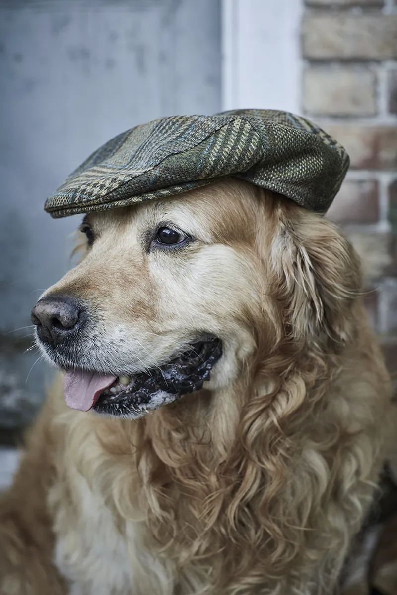 Barbour Wilkin Flat Cap Olive Check-2