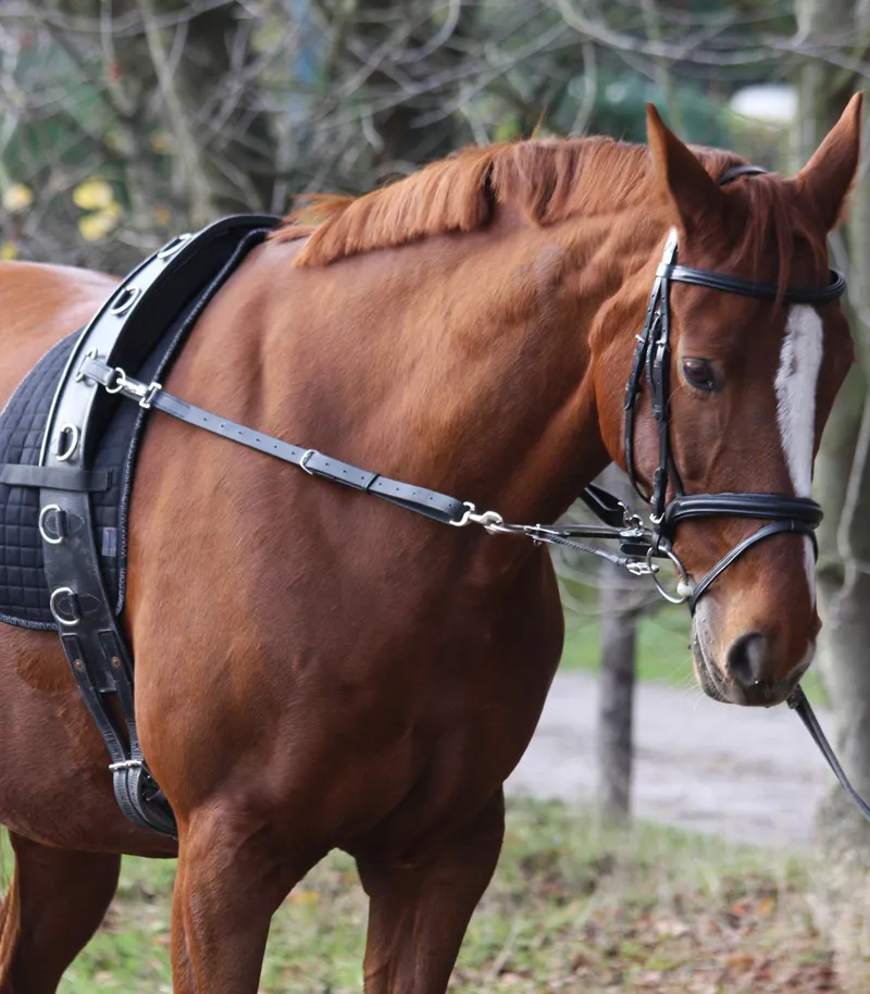 Waldhausen Gentle Way Riding/Lunge Aid Black