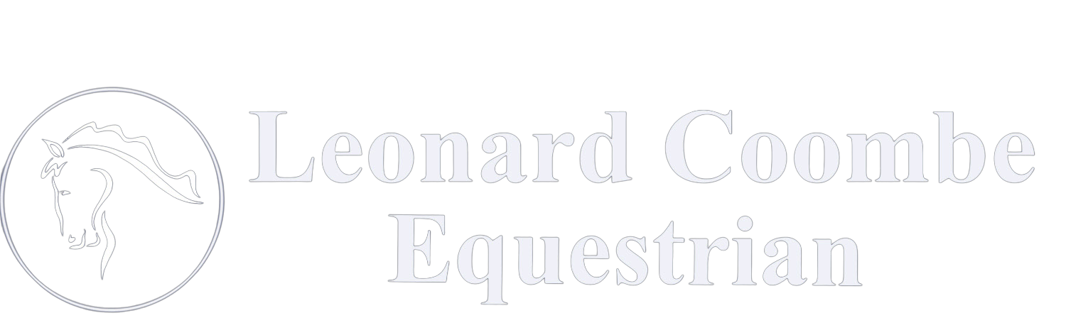 Sapone Per Sella LINCOLN Con Lanolina - 200g, Per Pulizia E Nutrizione Della Pelle